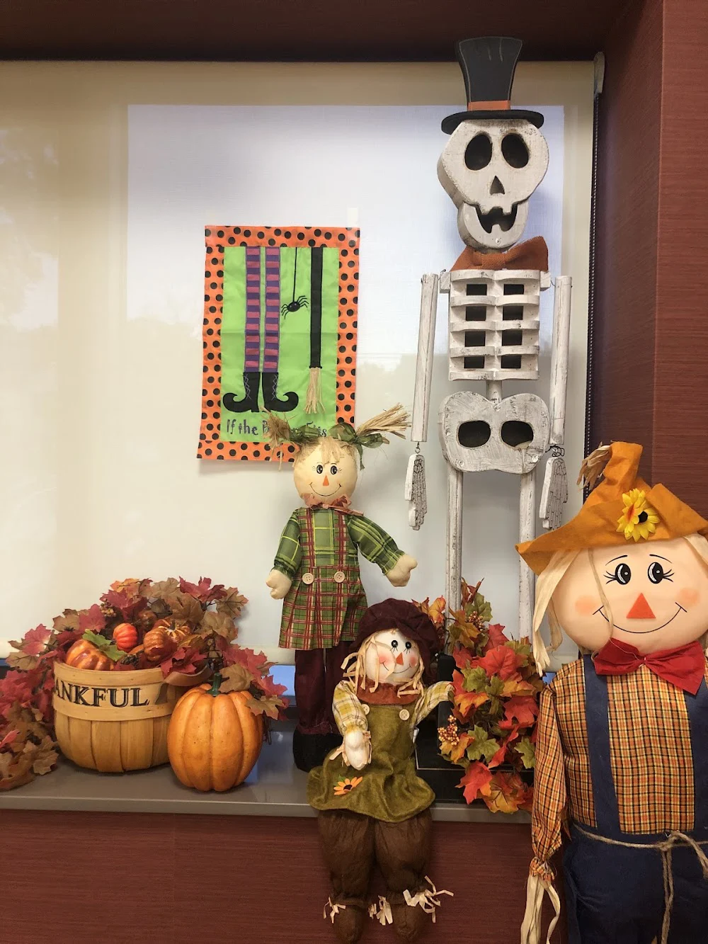 Precious Kidz Pediatric Dentistry Picture 7