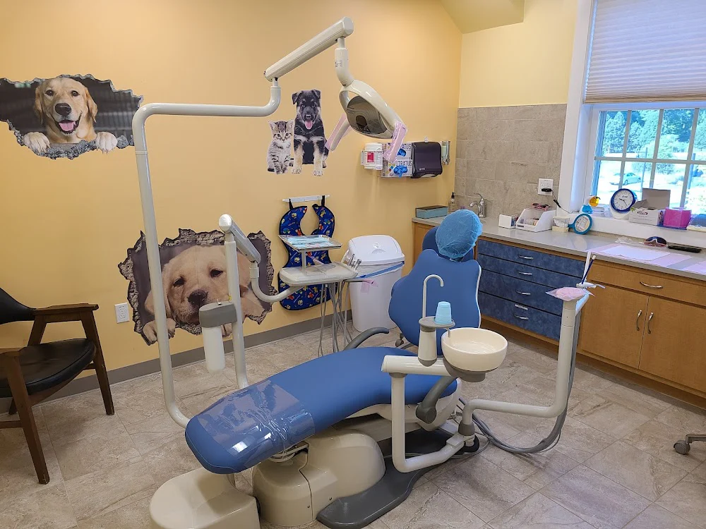 Norfolk Family & Pediatric Dentistry 5