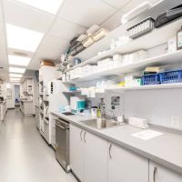 Rotem Dental Care ico