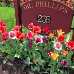 Andrew Phillips, DMD