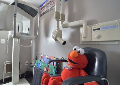 Myriam Cerezo, DMD, Pediatric Dentist