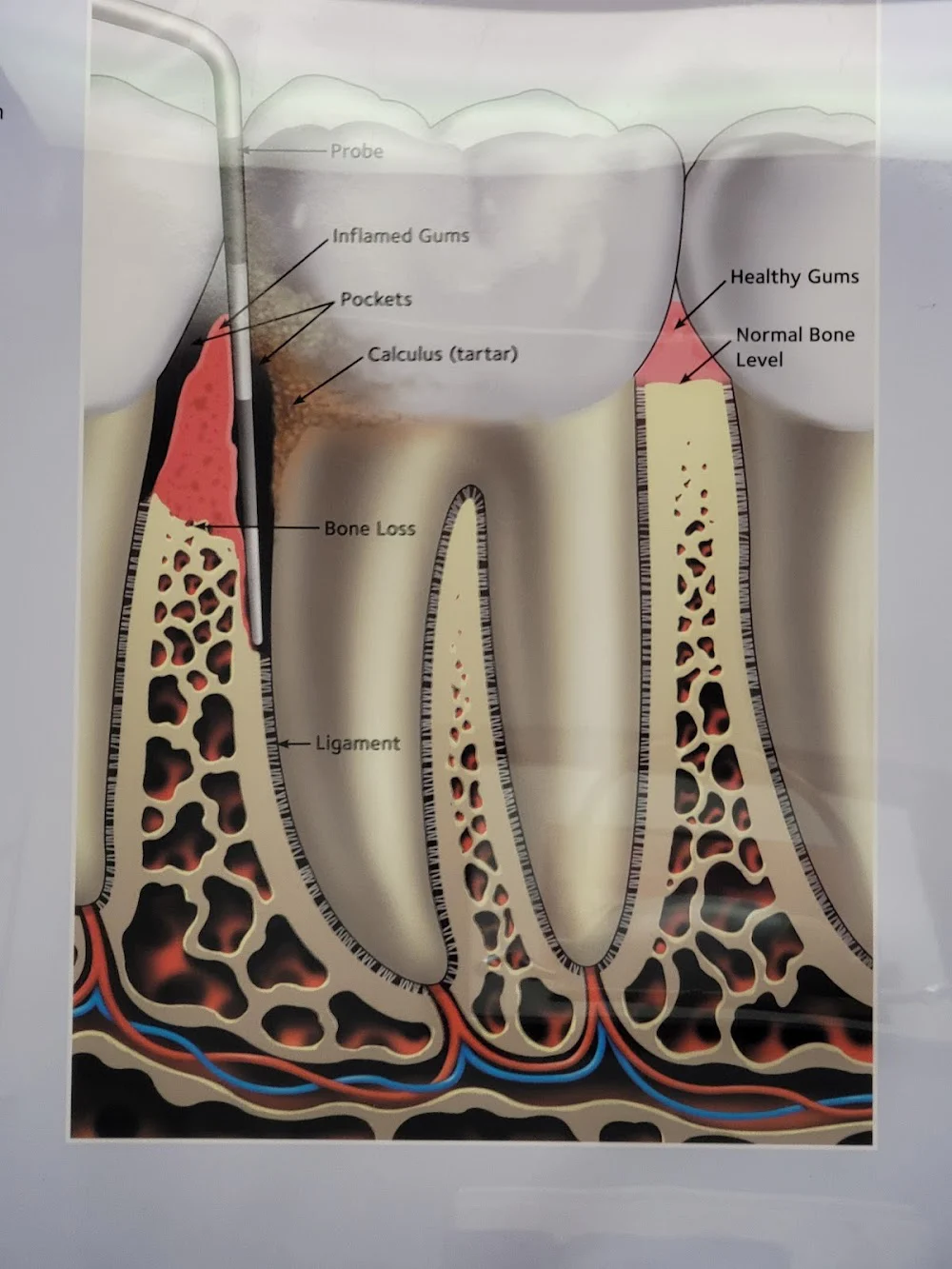 Lorlyn Dental Care 1