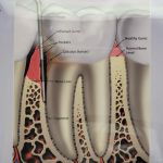Lorlyn Dental Care