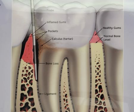 Lorlyn Dental Care