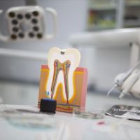 Castor Dental Care ico