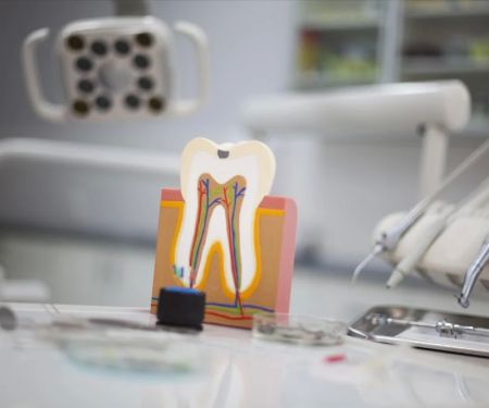 Castor Dental Care