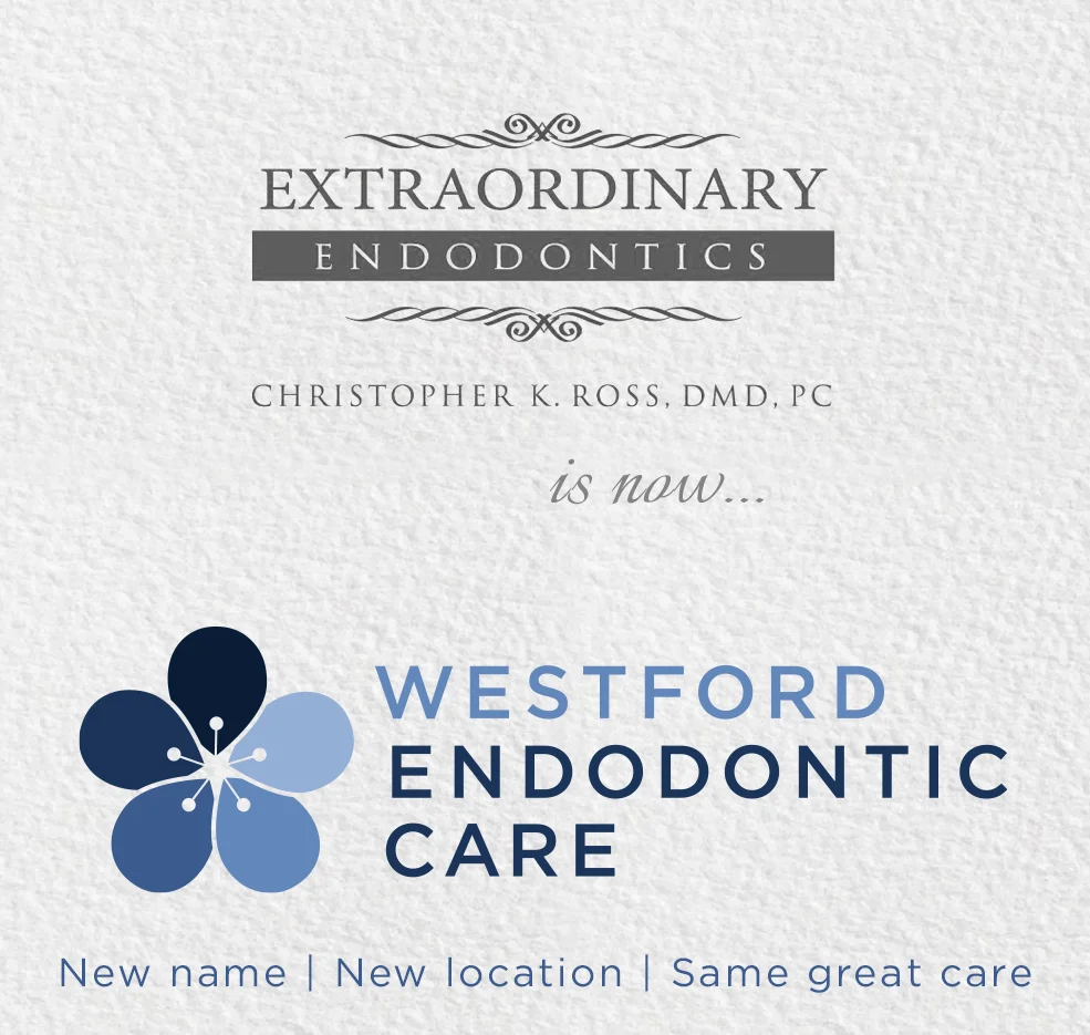 Westford Endodontic Care 10