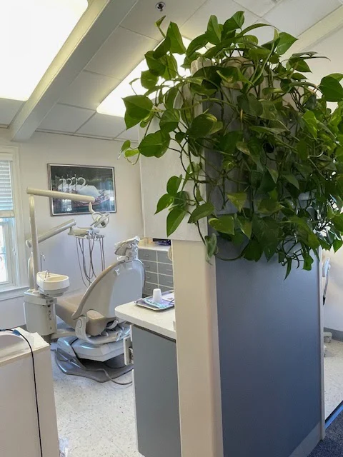 Park Street Dental 3