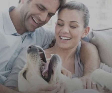 DuPage Dental Smiles