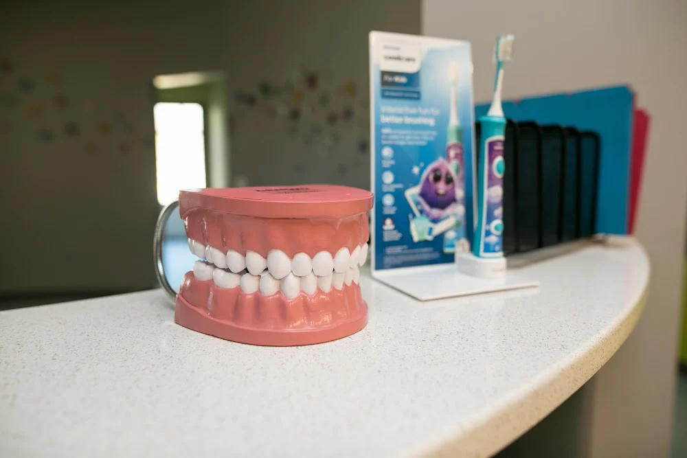 Smile Garden at Midlothian Children's Dentistry 10