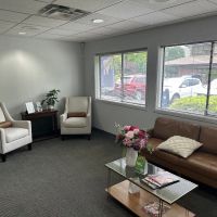Precision Dental Arts ico