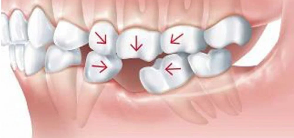 Salud Dental 7