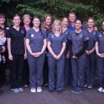 Center For Endodontics