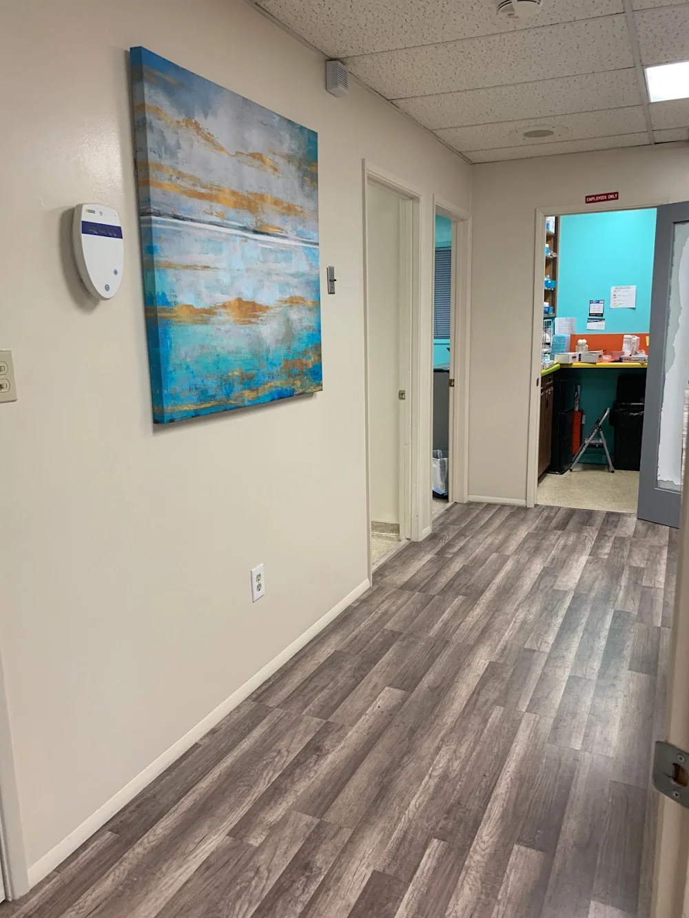 Luxe Dental Studio Picture 5