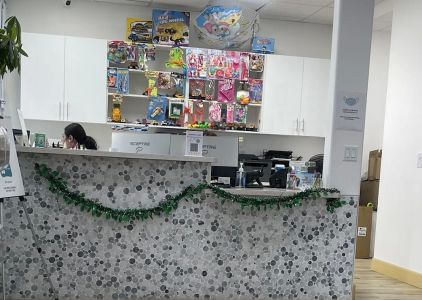 Kids Dental Land