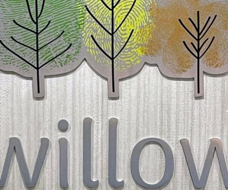 Willow Pediatric Dentistry
