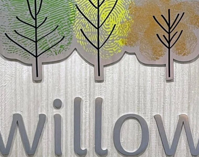 Willow Pediatric Dentistry