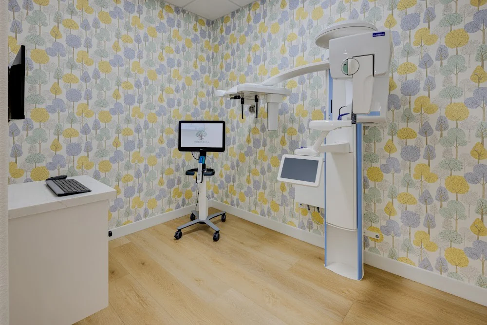 Treehouse Orthodontics Picture 4