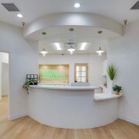Treehouse Orthodontics ico