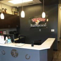 Wild West Orthodontics ico