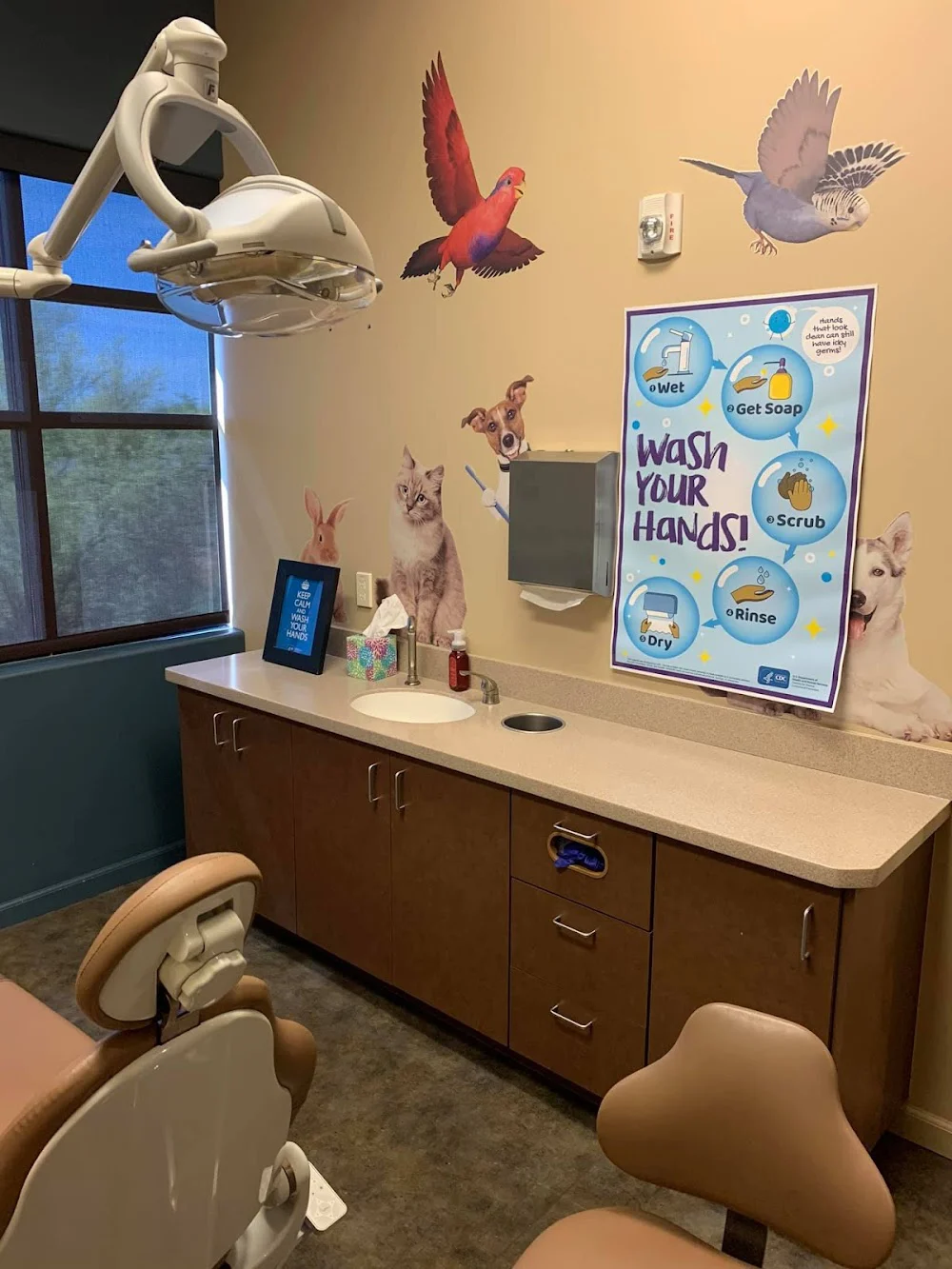 Pleasant Pediatric Dentistry 2