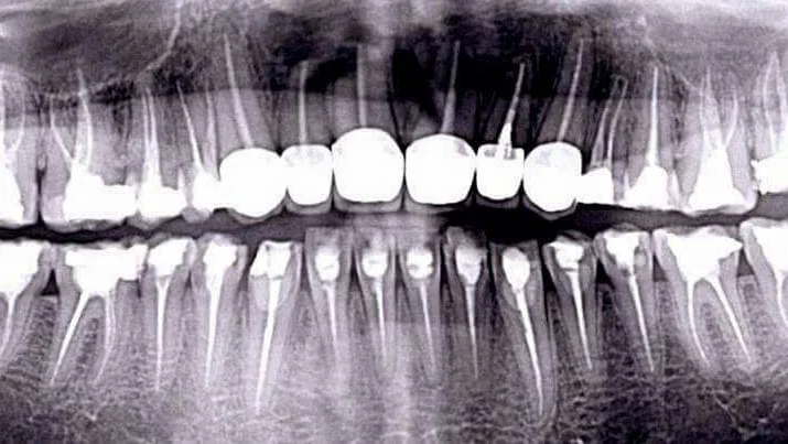 Shih Kingstone C DDS, Practice Limited to Endodontics 1