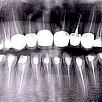 Shih Kingstone C DDS, Practice Limited to Endodontics ico