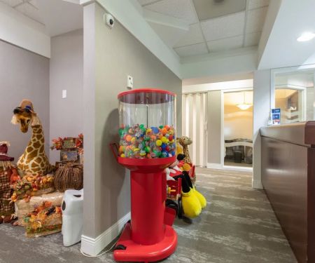 Mountain View Pediatric Dentistry, Sarita Wang DMD