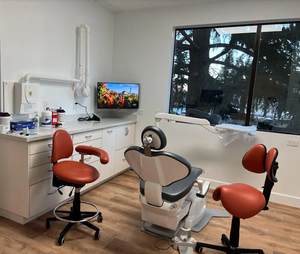 The Modern Endodontist: Yarah Beddawi DDS | Root Canal Specialist in Mountain View and Los Altos 1