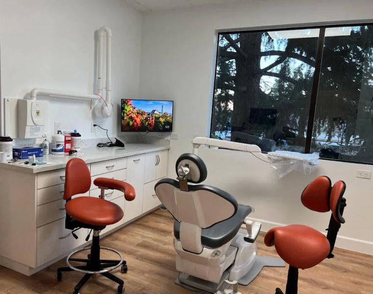 The Modern Endodontist: Yarah Beddawi DDS | Root Canal Specialist in Mountain View and Los Altos