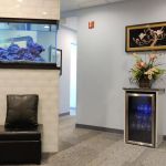 Dental Wellness Centre