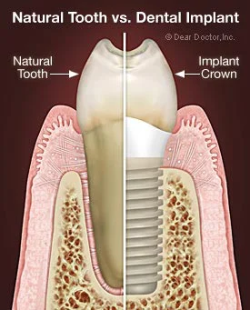 Whitman Dental Center 6