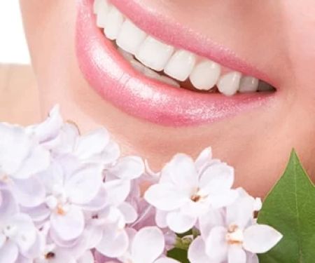 McClintock Family Dental