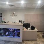 Acacia Dental - Dentist Tempe