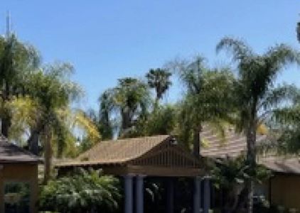 Yorba Linda Pediatric Dentistry: Yvonne S Lee, DMD and Brian Saunders, DDS