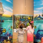 Westside Pediatric Dental and Orthodontic Group: Gross E Bernard DDS