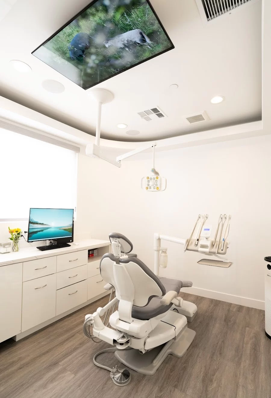 Vision Dental Montana Picture 7