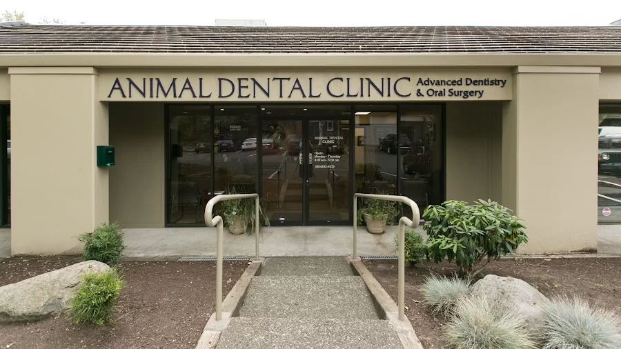 Oregon Veterinary Dental Specialists 6