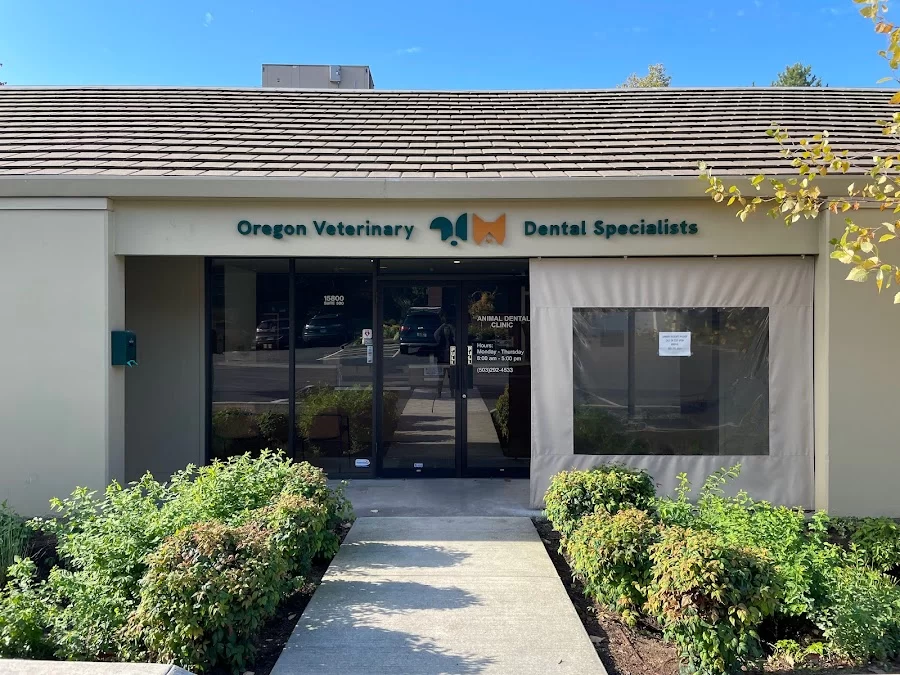 Oregon Veterinary Dental Specialists 8