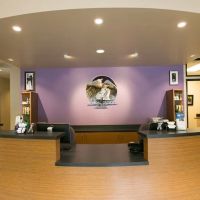 Oregon Veterinary Dental Specialists ico