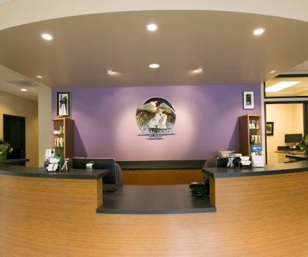Oregon Veterinary Dental Specialists