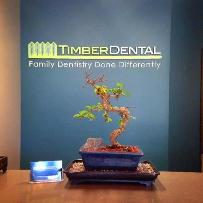 Timber Dental 3