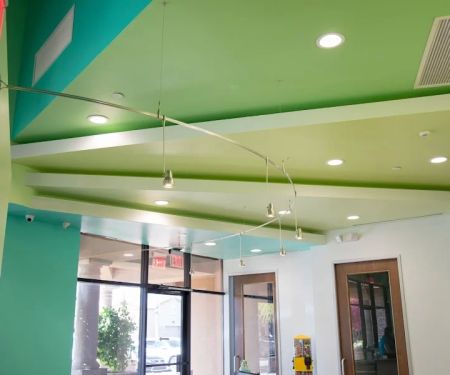 Bloom Pediatric Dentistry PLLC