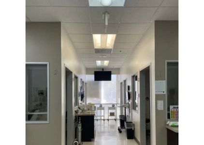 Western Dental & Orthodontics