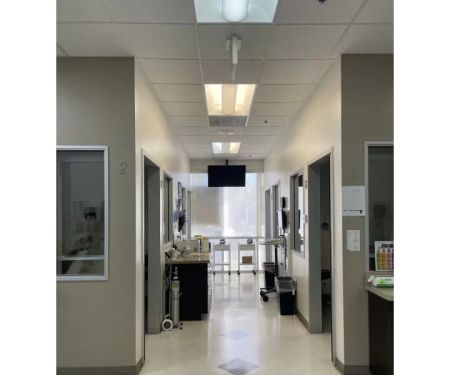 Western Dental & Orthodontics