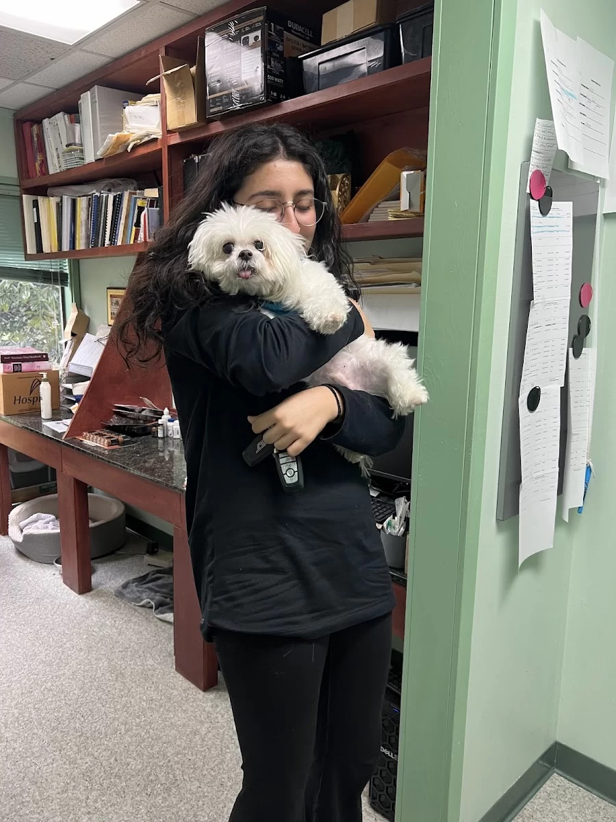 Animal Wellness and Rehabilitation Center 8
