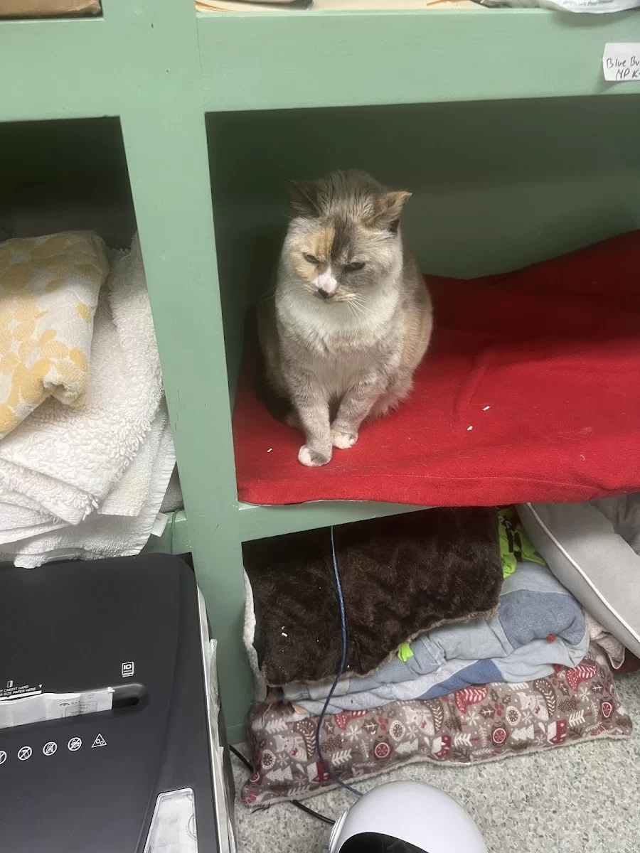 Animal Wellness and Rehabilitation Center 3