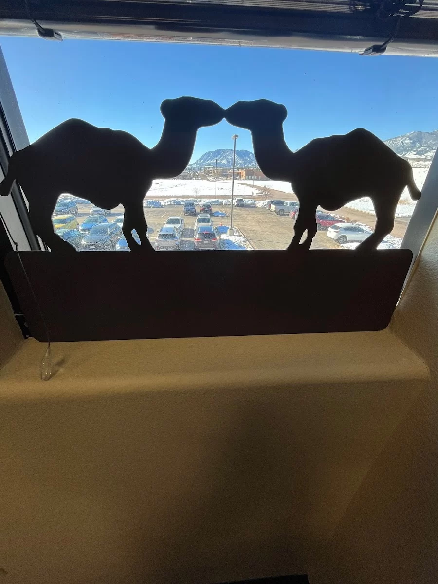 Kissing Camels Family Dentistry Picture 8