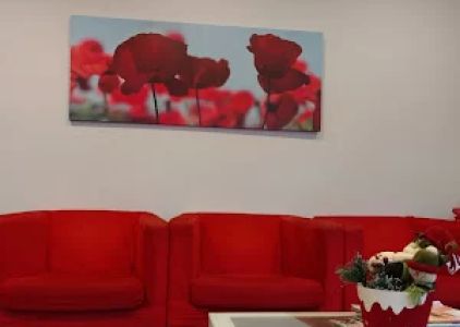 Modern Dental Studio - Tripthi Shetty DDS