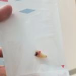 East Bay Oral Surgery & Dental Implant Center